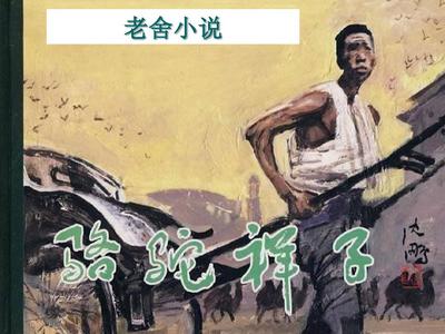 含羞草红豆视频社区
